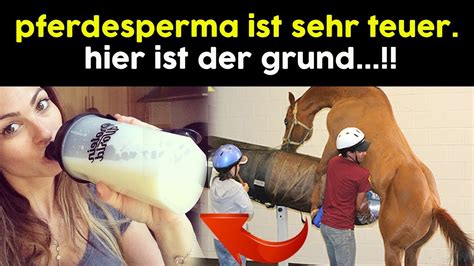 sperma lutschen|Die heißesten Spermaschlucken Porno